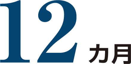 12カ月